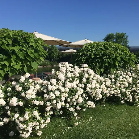 Corte All'olmo Farmház Verona