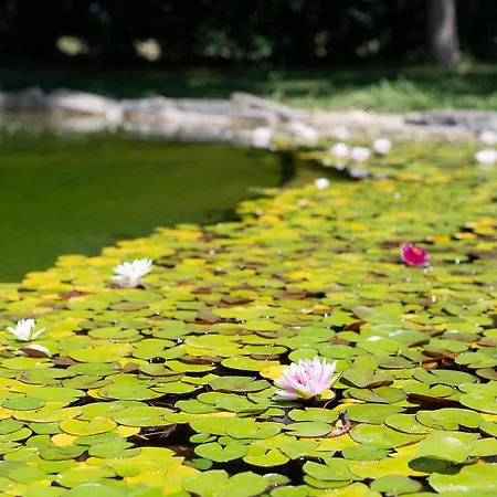 팜스테이 Corte All'olmo