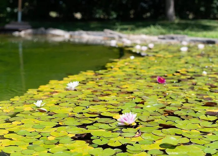 Bauernhof Corte All'olmo