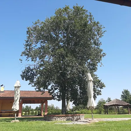 Corte All'olmo Farma